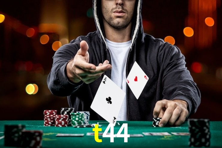 t44,t44.com